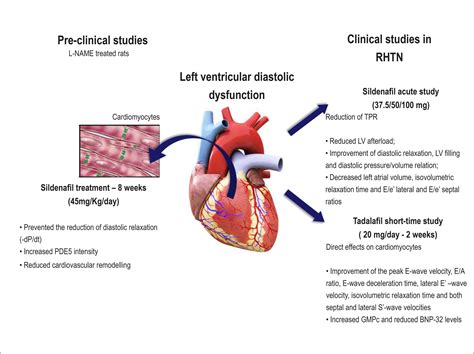 lv systolic function meaning in tamil